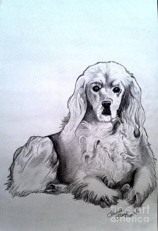 Golden Cocker Spaniel Poster featuring the drawing Willow 2 by Laurrie Lloyd