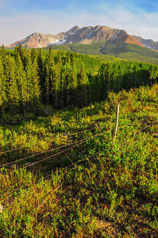 Wilson Poster featuring the photograph Wilson Peak in Summer by Aaron Spong
