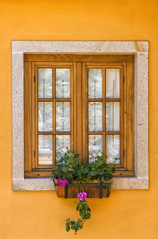 Flower Poster featuring the photograph Window with flowers by Paulo Goncalves