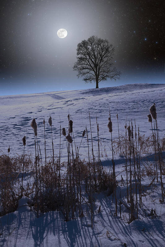 Astronomy Poster featuring the photograph Winter Glow by Larry Landolfi