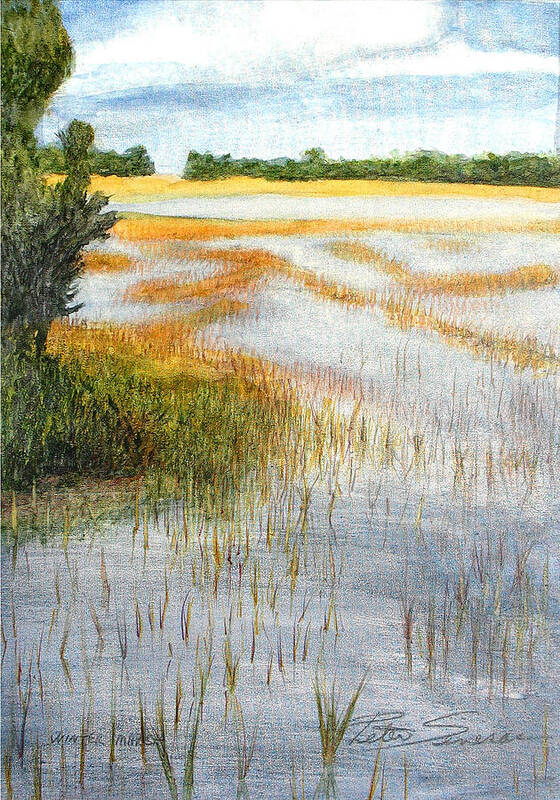 Landscape Poster featuring the painting Winter Marsh by Peter Senesac