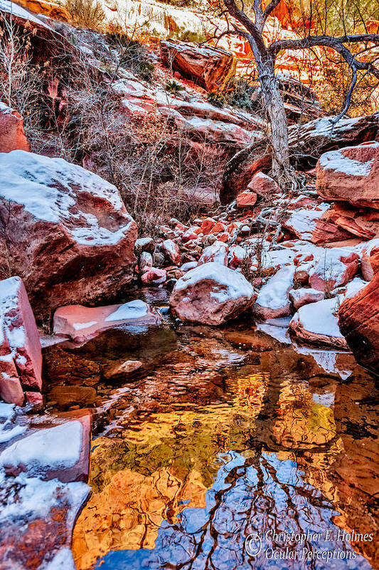 Nature Poster featuring the photograph Winter Reflection by Christopher Holmes