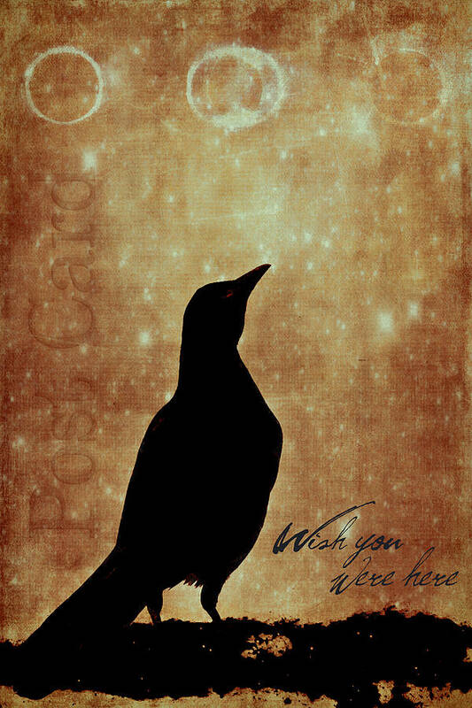 Wish You Were Here Poster featuring the photograph Wish You Were Here 1 by Carol Leigh