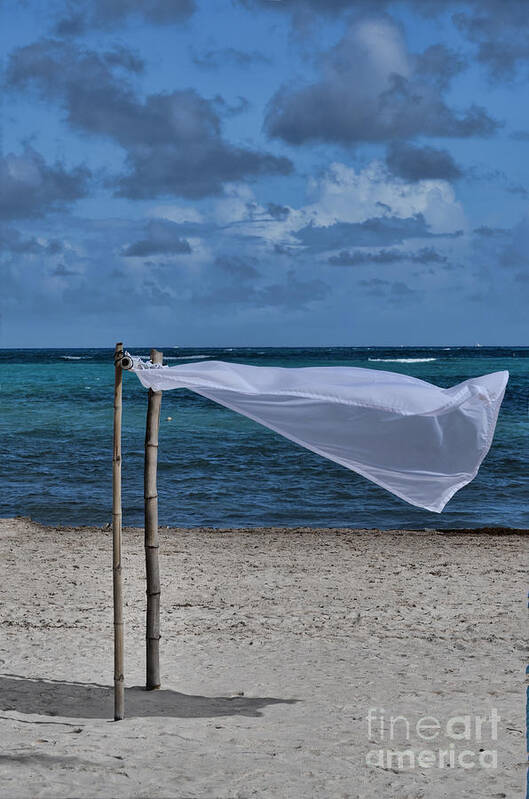 Cotton Poster featuring the photograph With The Wind by Judy Wolinsky