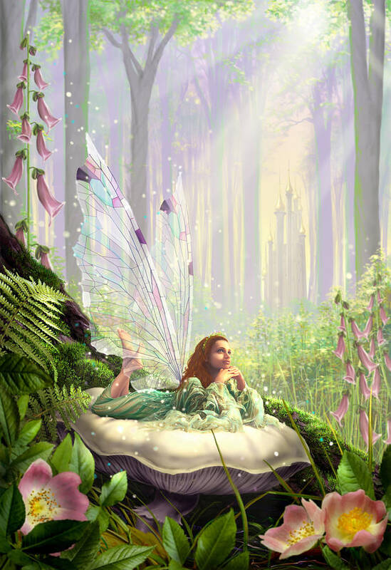 Dream Poster featuring the photograph Wood Fairy by MGL Meiklejohn Graphics Licensing
