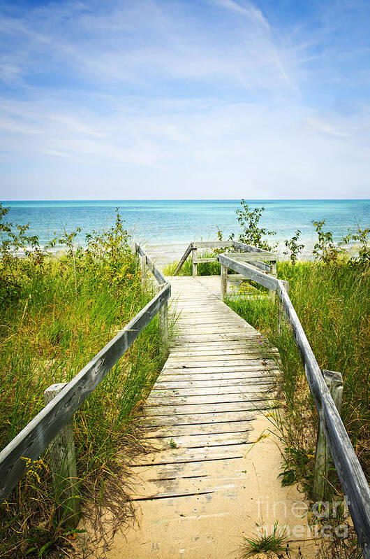 Beach Poster featuring the photograph Wooden walkway over dunes at beach by Elena Elisseeva