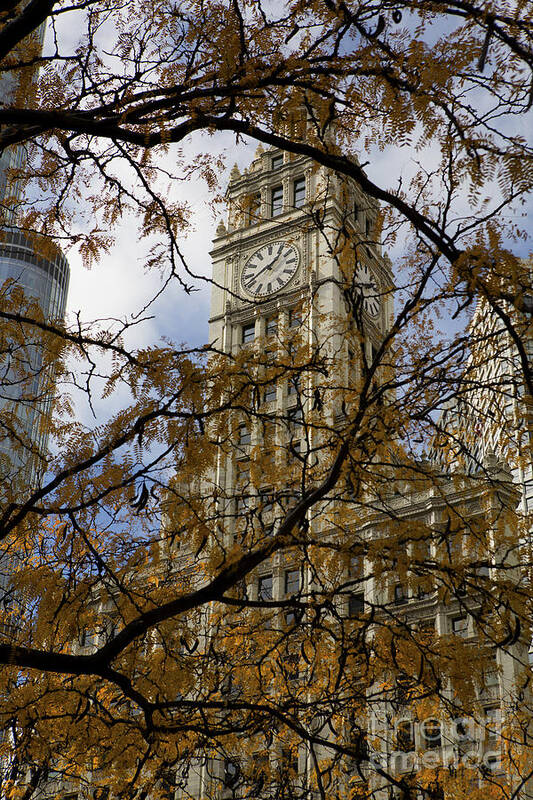 Wrigley Poster featuring the photograph Wrigley Building in Autumn by Leslie Leda