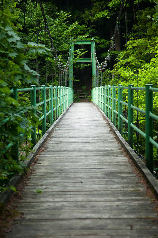 Forest Poster featuring the photograph Yagen Forest Bridge by Brad Brizek