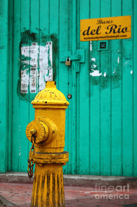 Fireplug Poster featuring the photograph Yellow fire hydrant by James Brunker