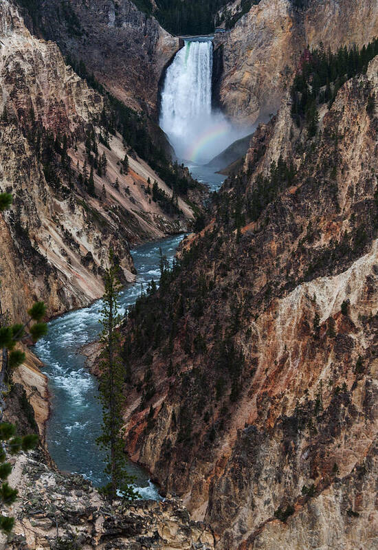 Waterfall Poster featuring the photograph Yellowstone Lower Falls by Rob Hemphill