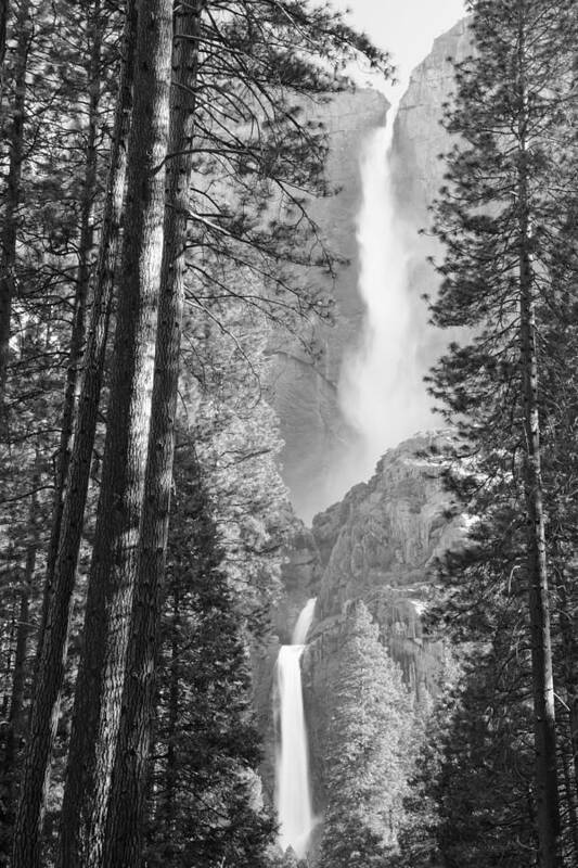 Yosemite Poster featuring the photograph Yosemite Falls Black and White by Bruce Gourley