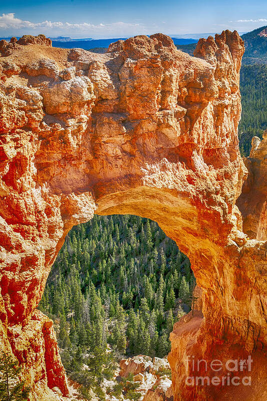 Arch Poster featuring the photograph Natural Bridge by David Millenheft