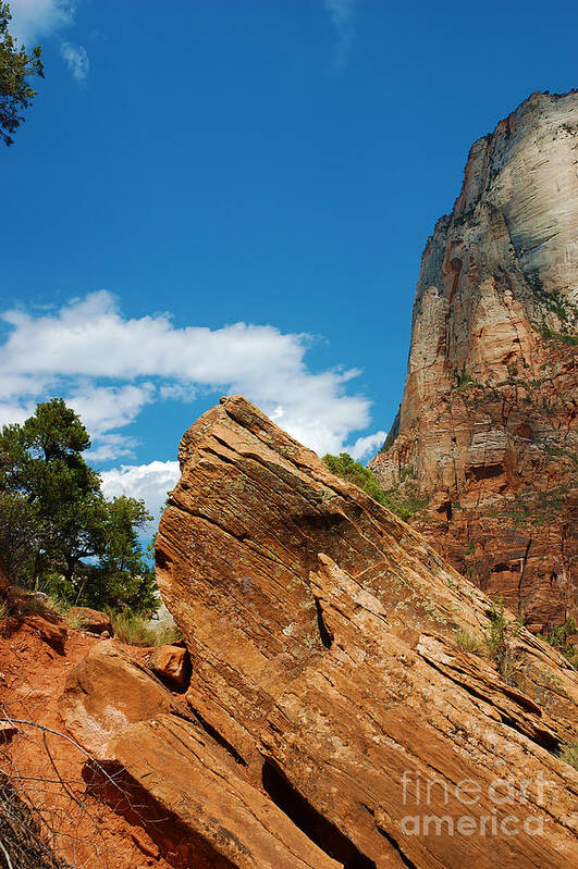 Zion Poster featuring the photograph Zion National Park 4 by Micah May
