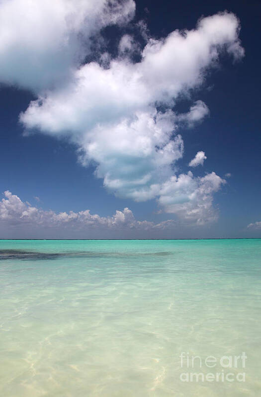 Mexico Poster featuring the photograph Cloud by Milena Boeva