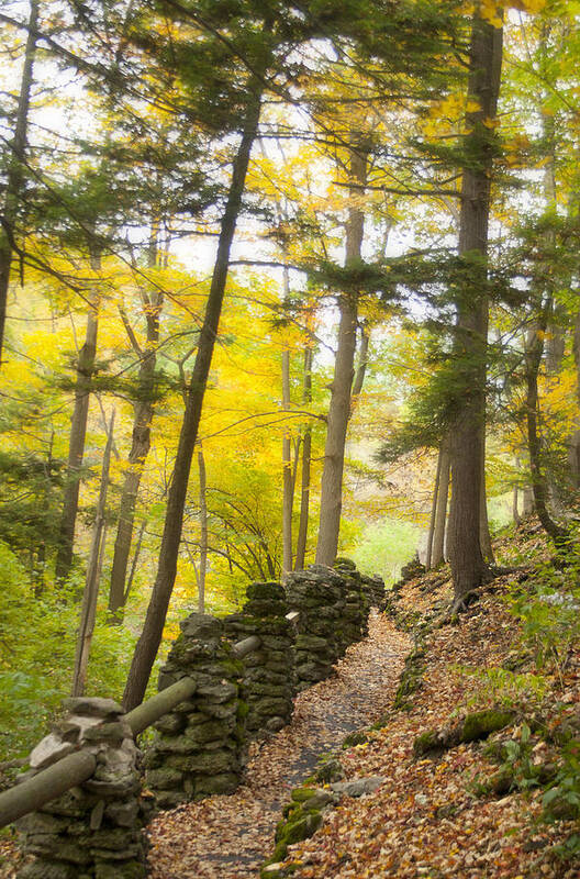 Autumn Poster featuring the photograph Autumn Hike #1 by Cindy Haggerty