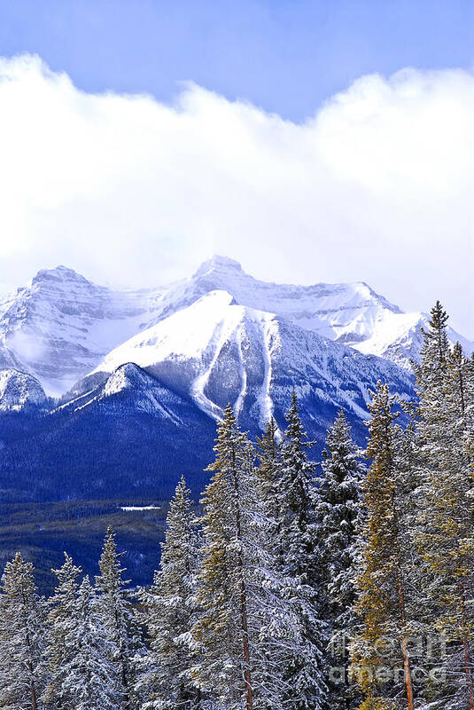 Mountain Poster featuring the photograph Winter mountains 2 by Elena Elisseeva