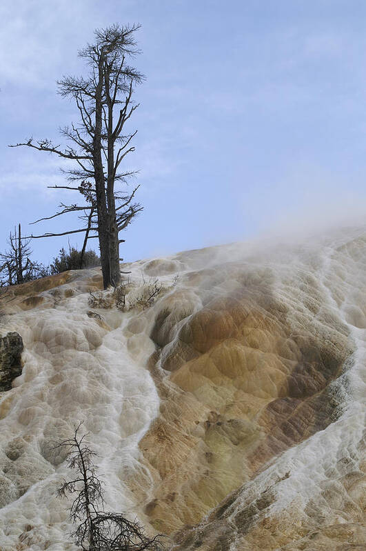 Yellowstone Poster featuring the photograph Yellowstone Nat'l Park #2 by Henri Irizarri