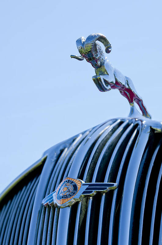 1936 Dodge Poster featuring the photograph 1936 Dodge Hood Ornament 2 by Jill Reger