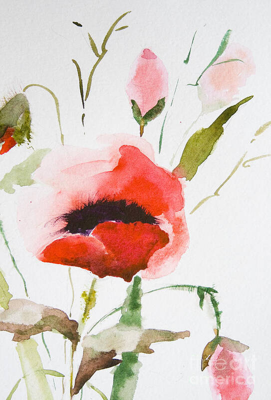 Art Poster featuring the painting Watercolor Poppy flower #2 by Regina Jershova