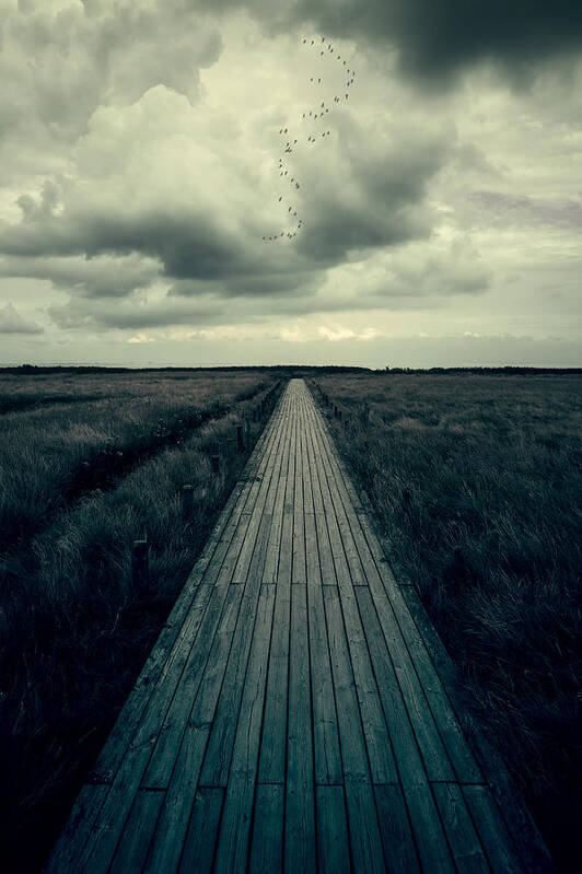 Boardwalk Poster featuring the photograph Boardwalk #4 by Joana Kruse