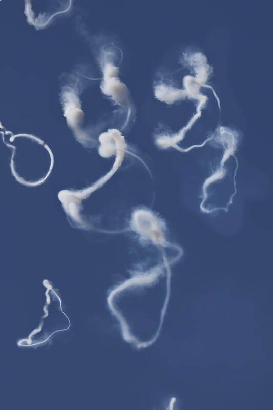 Airplane Poster featuring the photograph Airplane Smoke Trails by Garry Gay