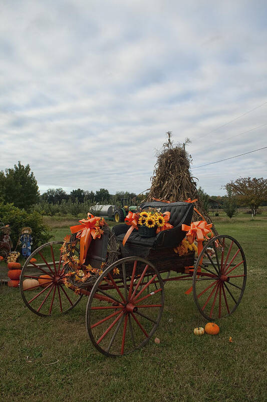 Antique Poster featuring the photograph Antique Buggy in Fall Colors by Kathy Clark