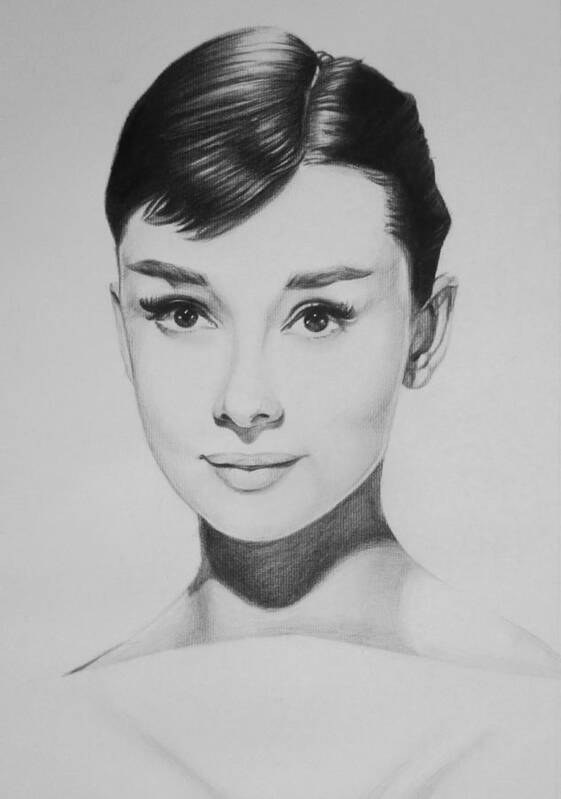 Audrey Hepburn Charcoal Portrait Hollywood Portrait Cary Grant Breakfast At Tiffanies Poster featuring the drawing Audrey Hepburn by Steve Hunter