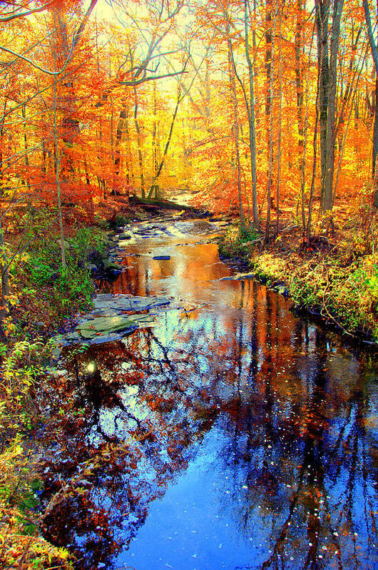  Poster featuring the digital art Autumn Colors 11 by Aron Chervin