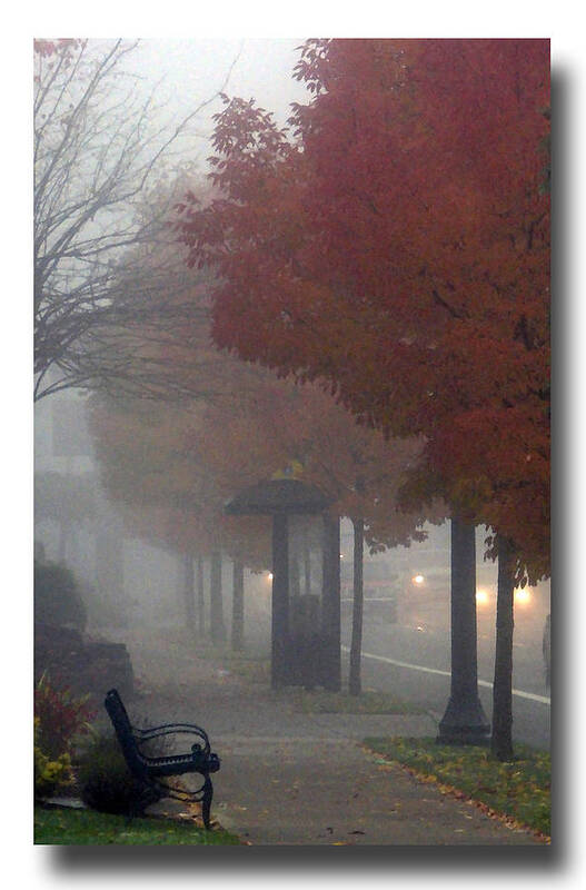 Fog Poster featuring the photograph Autumn Commute by Chris Anderson