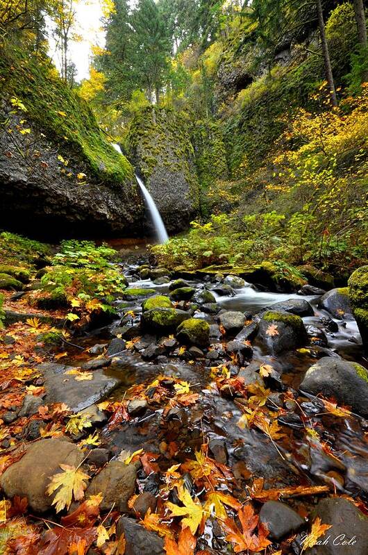 Horsetail Falls Poster featuring the photograph Autumn Horsetail by Noah Cole