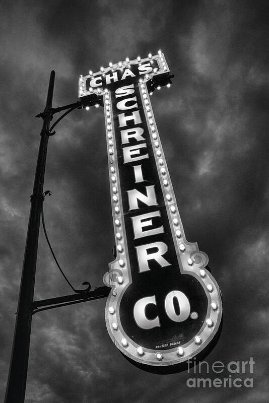 Kerrville Texas Poster featuring the photograph Black and Light by Ken Williams