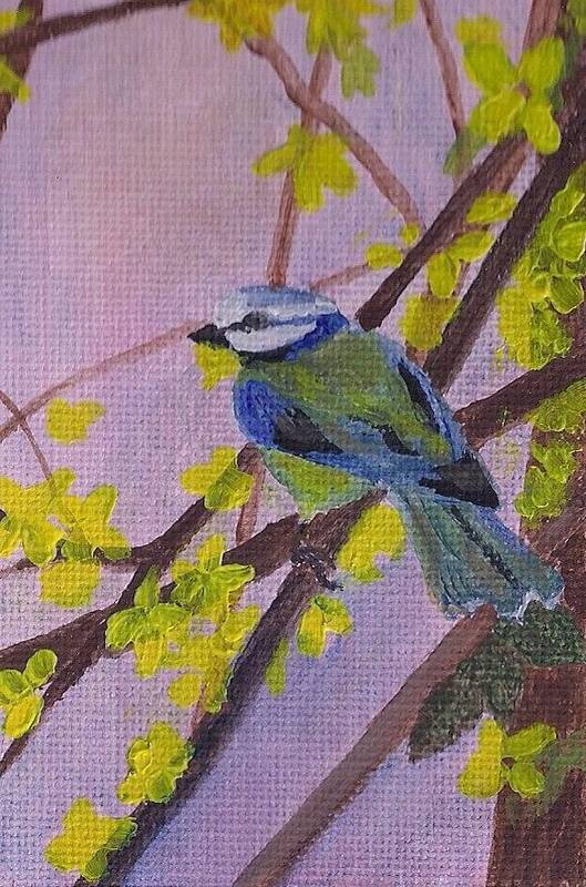 Blue Bird On A Tree Branch Poster featuring the painting Blue Bird by Christy Saunders Church