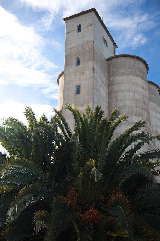 Tree Poster featuring the photograph Blue Day Silo 2 by Carole Hinding