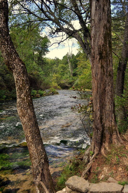 Stream Poster featuring the photograph Blue Spring Branch by Marty Koch