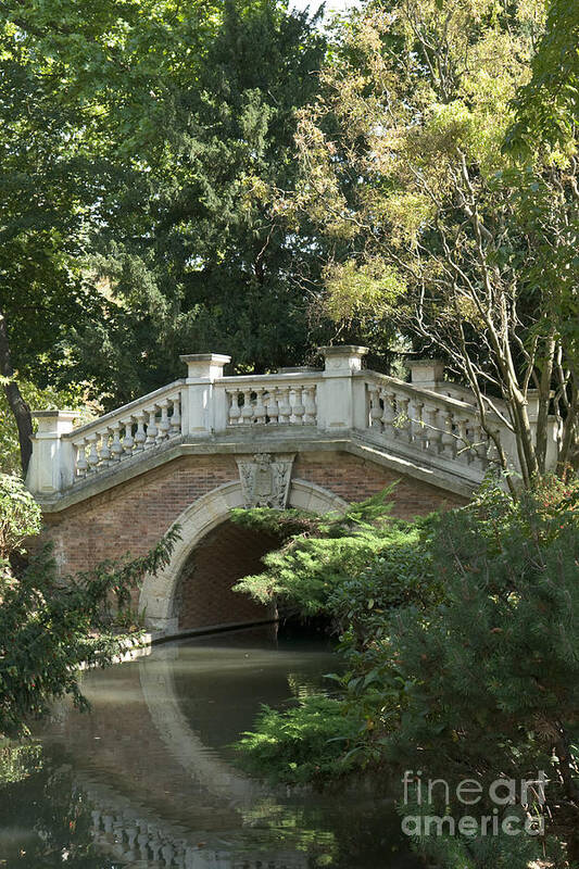 Parc Poster featuring the photograph Bridge in the park I by Fabrizio Ruggeri