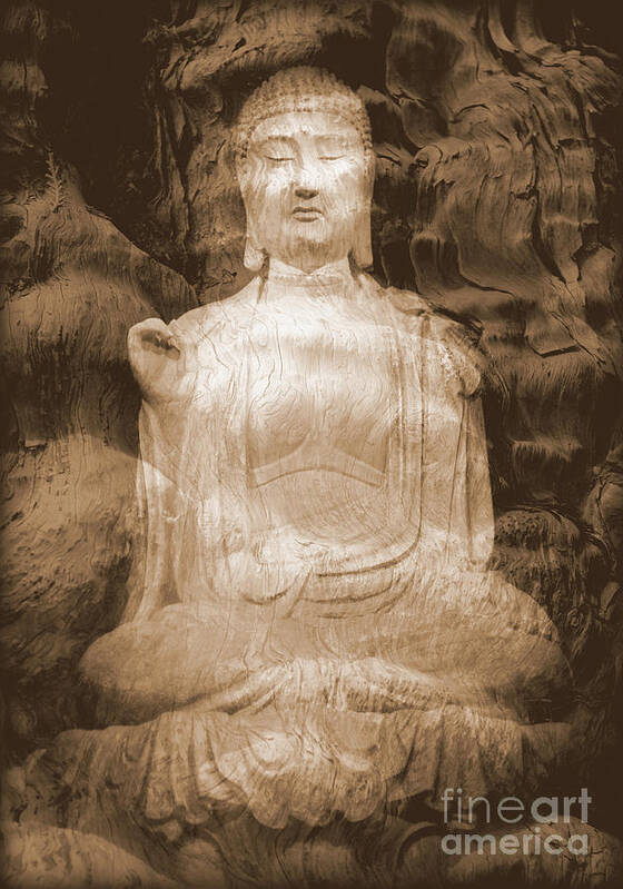 Buddha Poster featuring the photograph Buddha and Ancient Tree by Carol Groenen