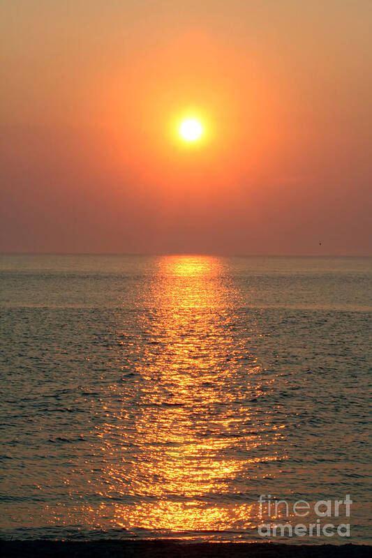 Sunset Poster featuring the photograph Cape May Sunset by Susan Stevenson