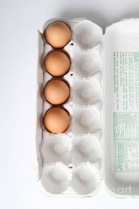 Egg Poster featuring the photograph Carton Of Eggs, 9 Of 13 by Photo Researchers, Inc.