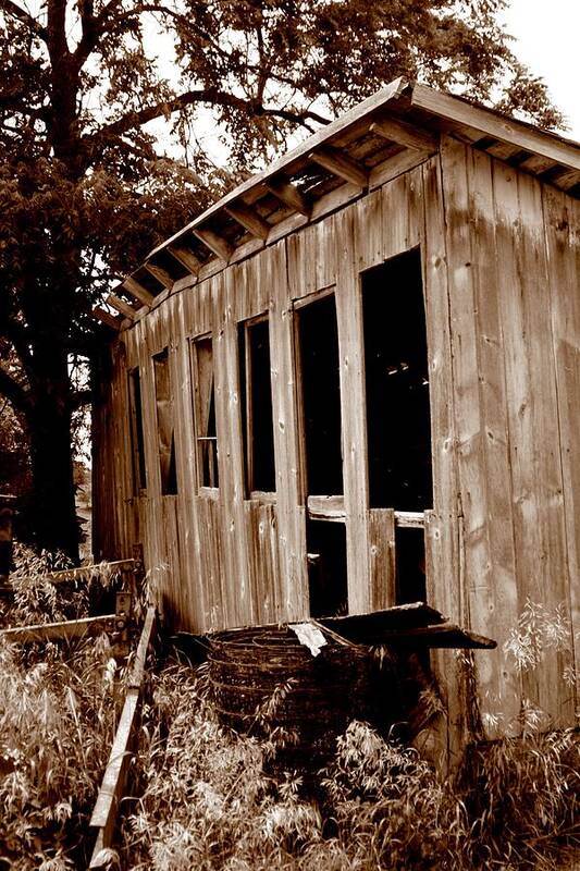  Rural Poster featuring the photograph Chicken Coop by Rick Rauzi