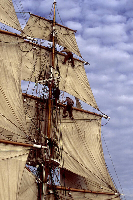 Tall Ship Poster featuring the photograph Crew in rigging of tall ship by Cliff Wassmann