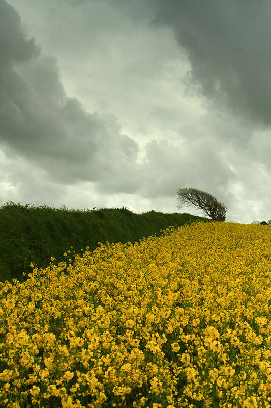 Clouds Poster featuring the photograph Cymylau Tywyll by Jacqui Collett