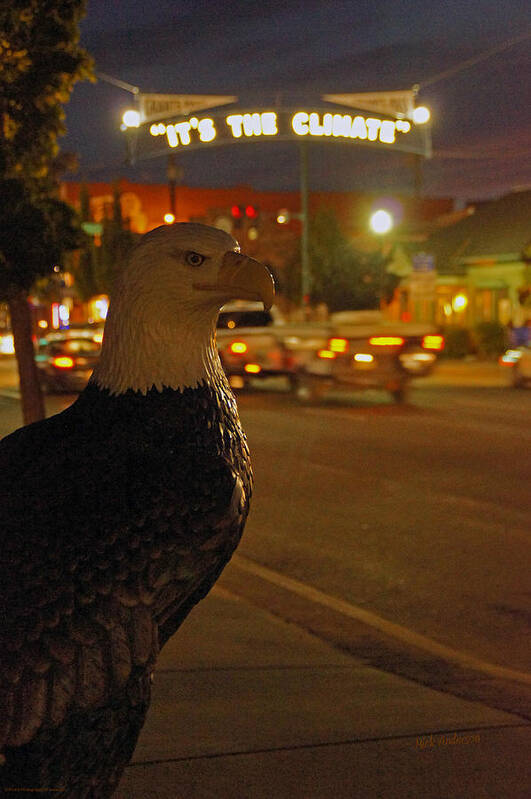 Eagle Poster featuring the photograph Eagle Watching Grants Pass Night by Mick Anderson