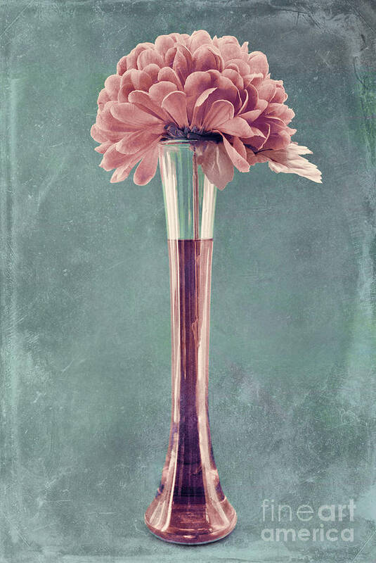 still Life Poster featuring the photograph Estillo Vase - s01v4b2t03 by Variance Collections