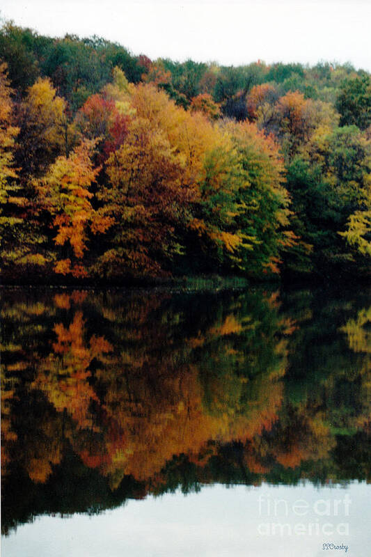 Fall Colors Poster featuring the photograph Fall at the Water's Edge by Susan Stevens Crosby