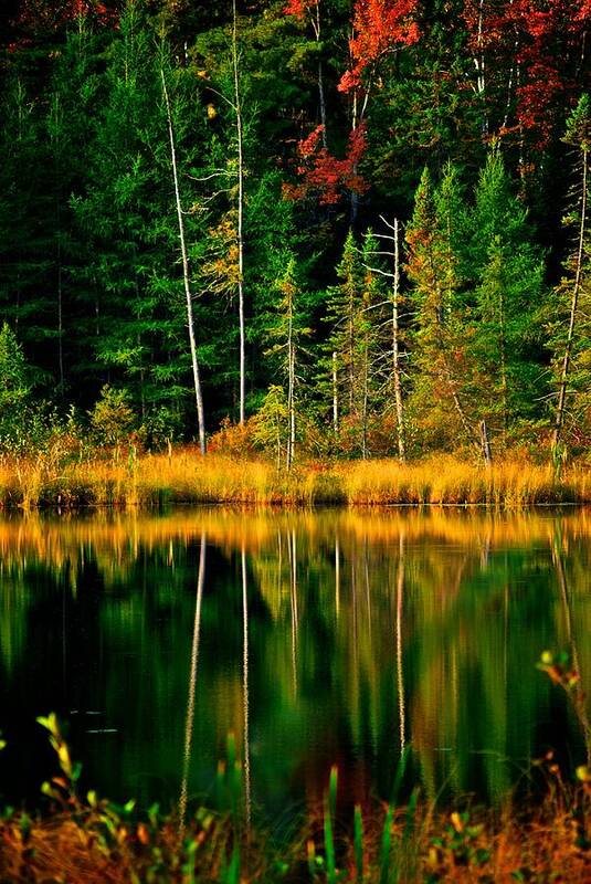 Lake Poster featuring the photograph Fall Colors and Reflections by Prince Andre Faubert