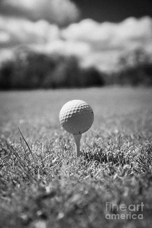 Golf Poster featuring the photograph Golf Ball On Tee by Joe Fox
