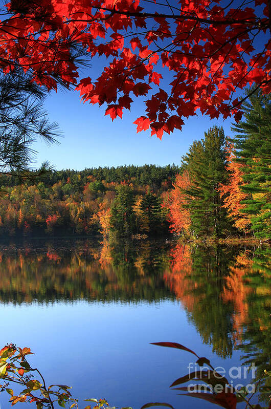 grafton Pond Poster featuring the photograph Grafton Pond by Butch Lombardi