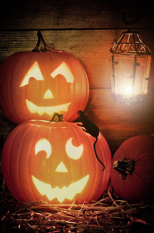 Halloween Poster featuring the photograph Halloween Pumpkins by Amanda Elwell