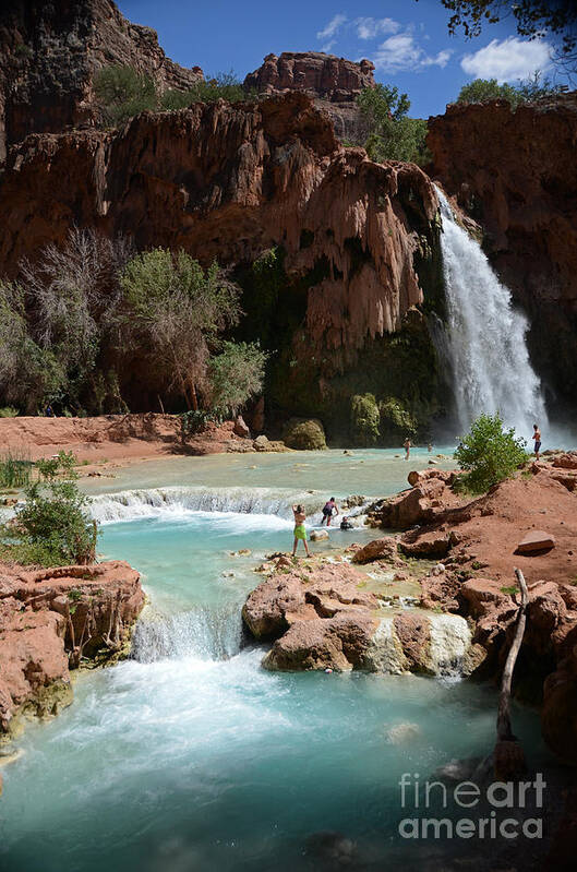 Havasu Falls Poster featuring the photograph Havasu Falls by Cassie Marie Photography