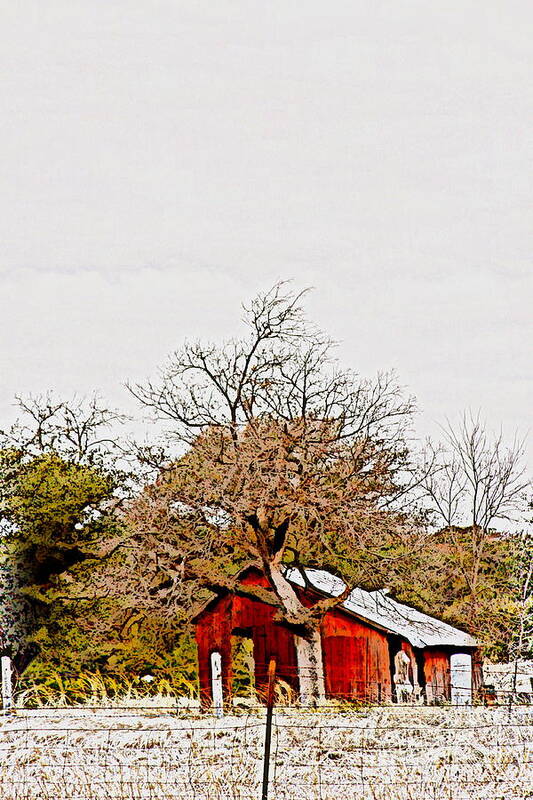 Photography Poster featuring the photograph Little Red Shanty - No. 351 by Joe Finney